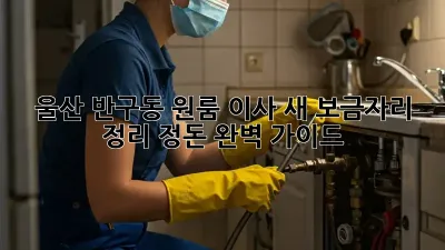 울산 반구동 원룸 이사, 새 보금자리 정리 정돈 완벽 가이드!