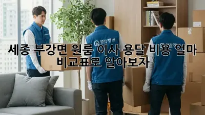 세종 부강면 원룸 이사, 용달 비용 얼마? 비교표로 알아보자!